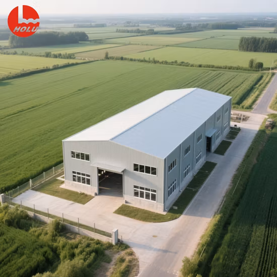 판매를 위한 중국 공장 빛 조립식 건물 창고 강철 구조 조립식 작업장